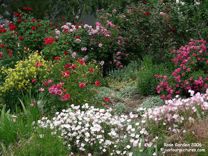 Regina's garden in 2006