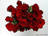 bunch-of-red-roses